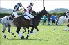 UKPA NC SAT_2221